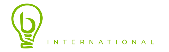 Brainstorm Logo rvs